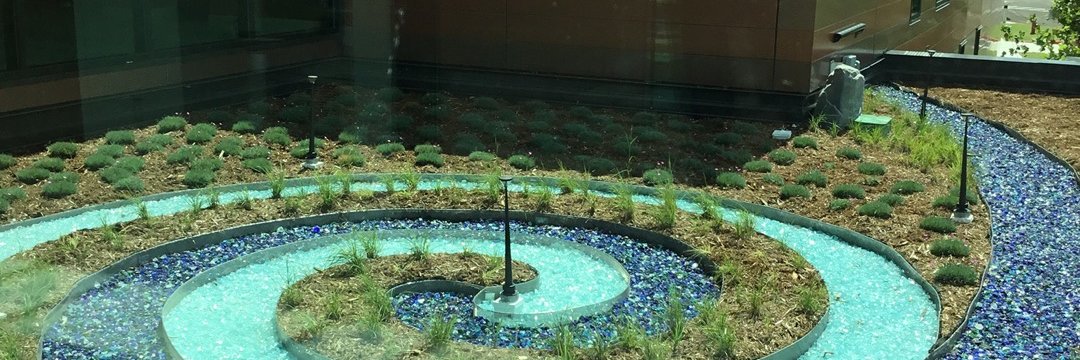 a garden area outside of a hospital